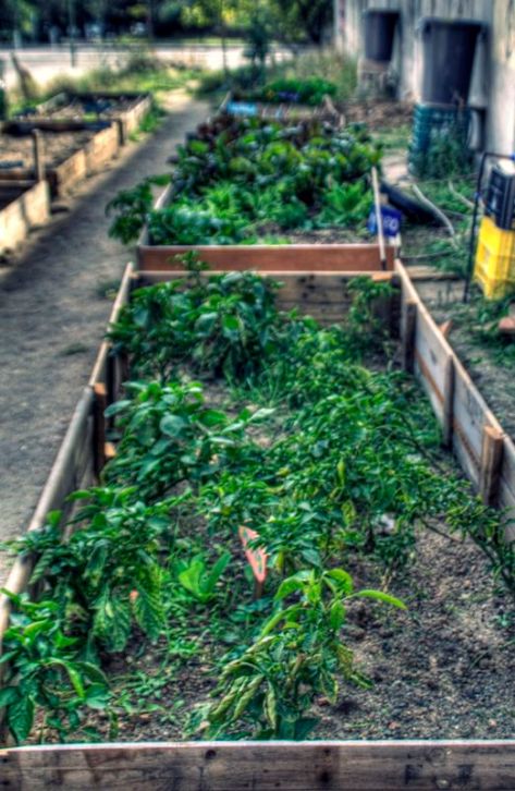 _MG_9840_1_2Enhancer