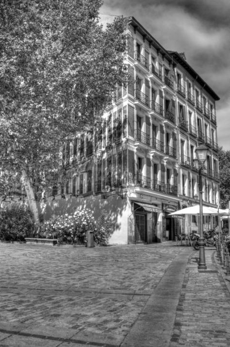 AX_16314_5_6Enhancer