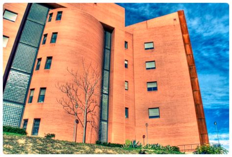 _MG_0193_4_5Enhancer