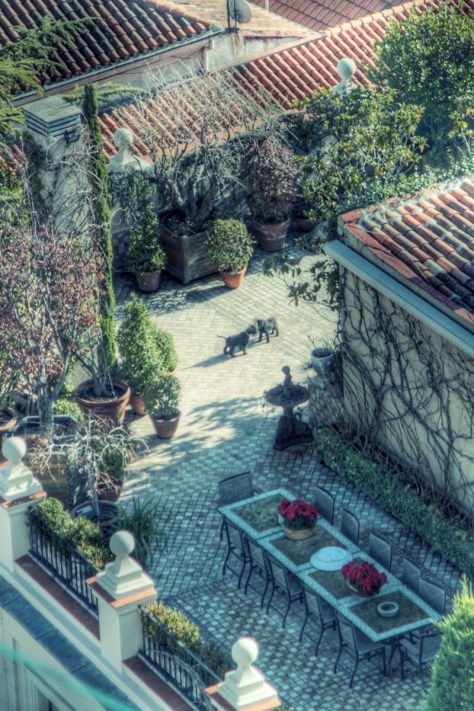 AX_26114_5_6Enhancer