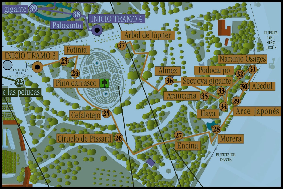 tramo 3 senda botánica