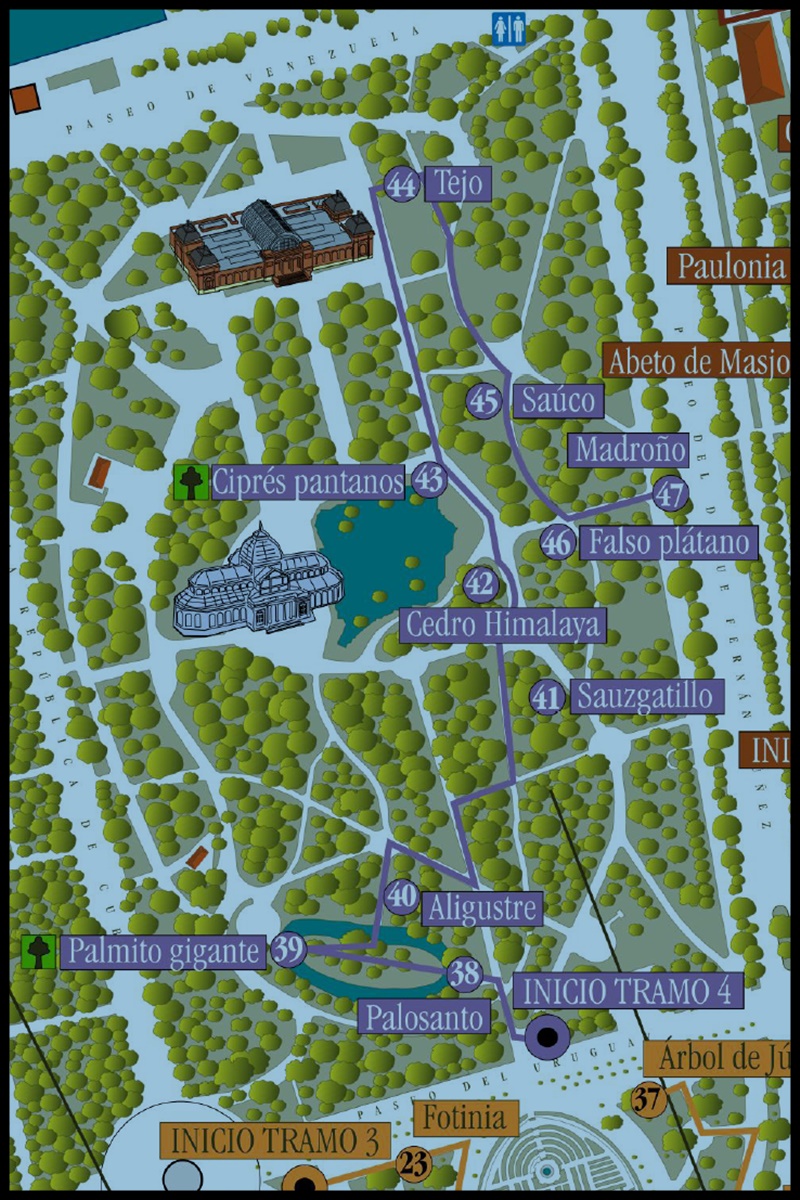 tramo 4 senda botánica