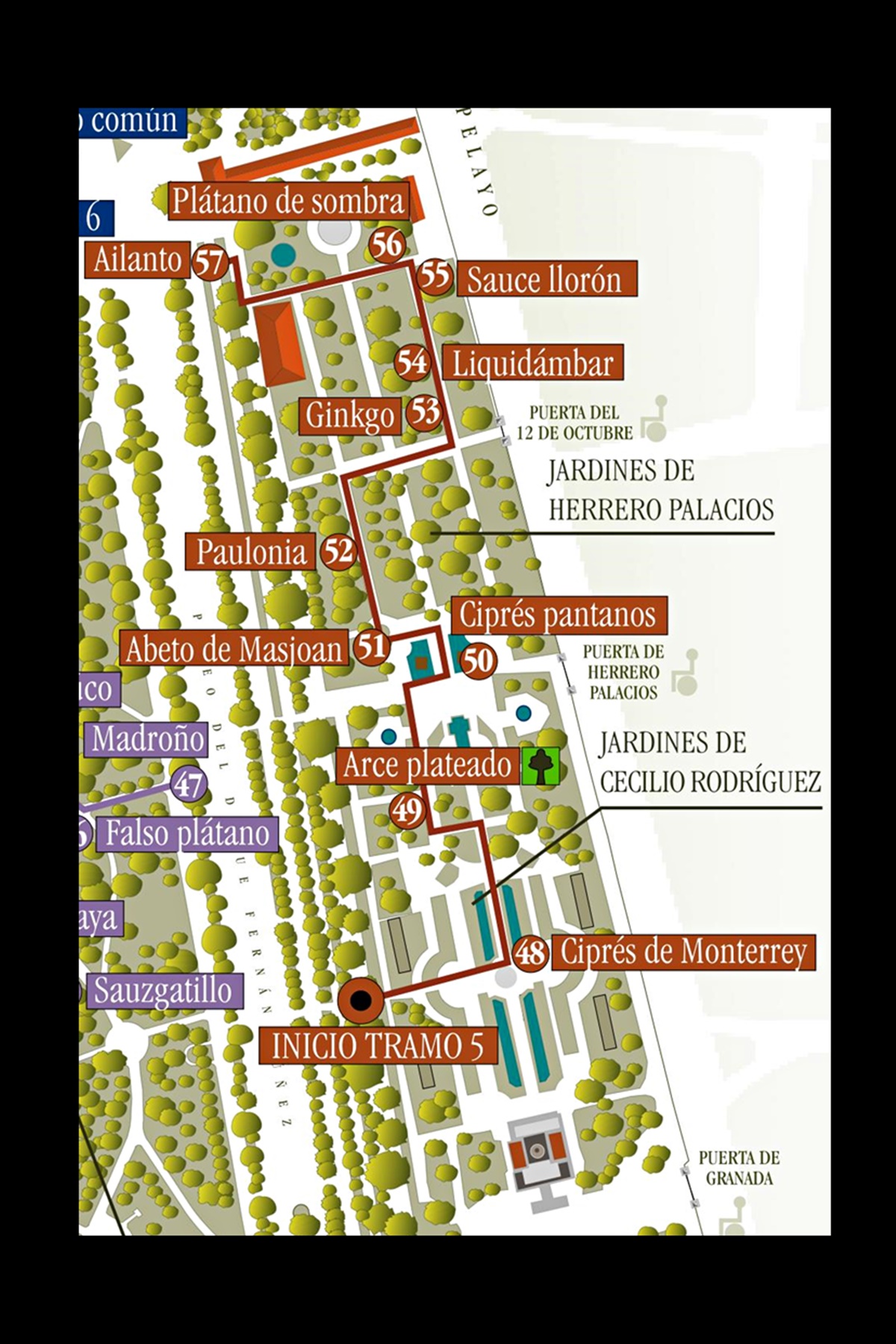 tramo 5 senda botánica