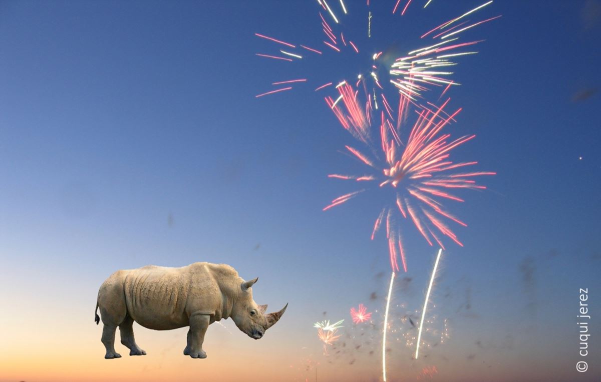 atardecer en el parque tierno galvan