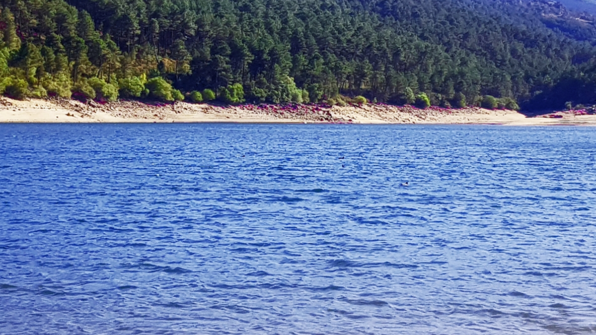 perseidas 2019 aguita del pantano